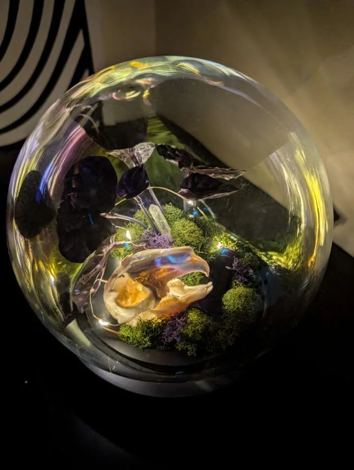Animal skull in a lit glass globe with moss and crystals by Stabby Tabby's Creations