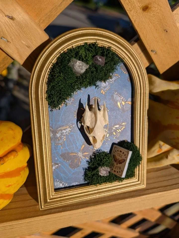 Framed skull with moss, crystals and butterflies by Stabby Tabby's Creations